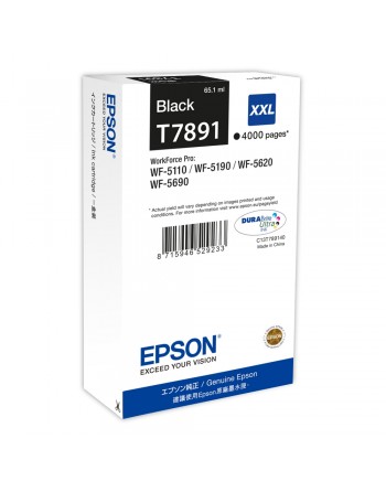 Epson Μελάνι Inkjet T789...