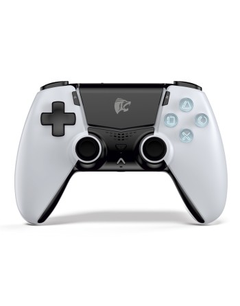 ROAR bluetooth gamepad...